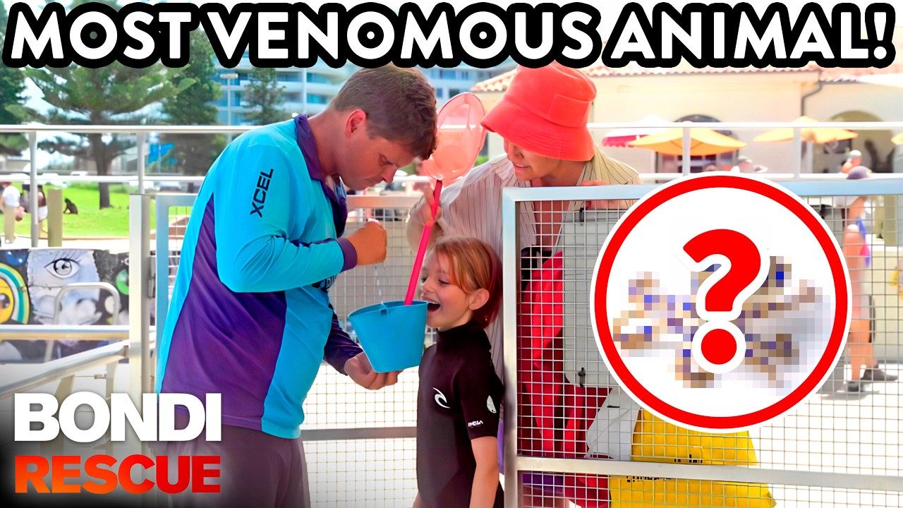 1 Bondi's Deadliest Animals in 1 Hour 🦈