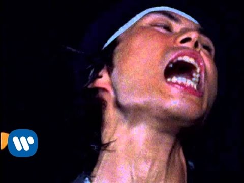 Hermann H. & The Pacemakers New Best Album 🎶