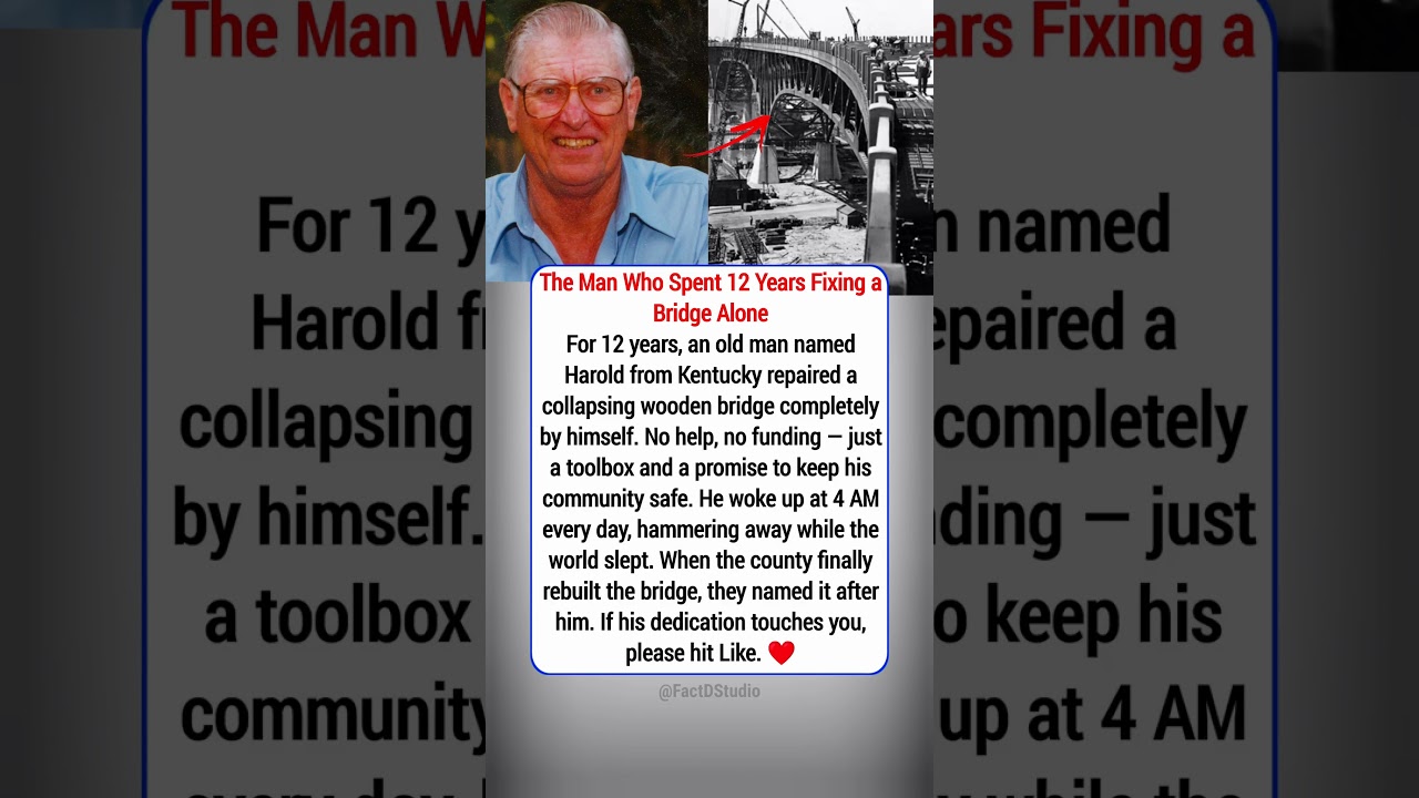 Man Fixes Bridge Alone for 12 Years 🌉