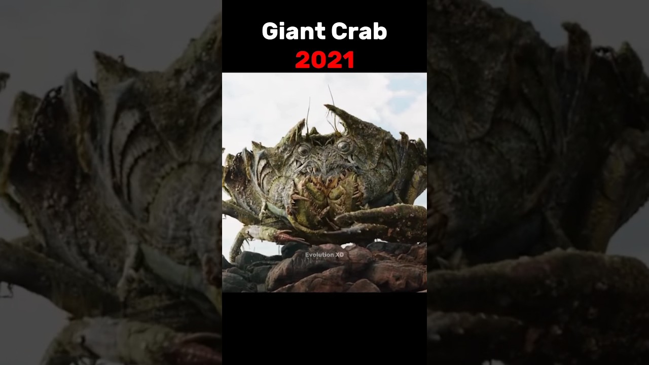 Giant Crab Evolution 🦀 #shorts