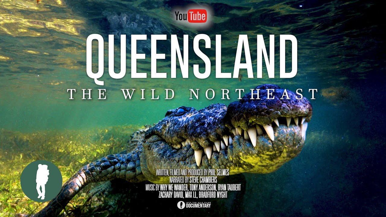 Australia’s Northeast Wildlife & Landscapes in 4K