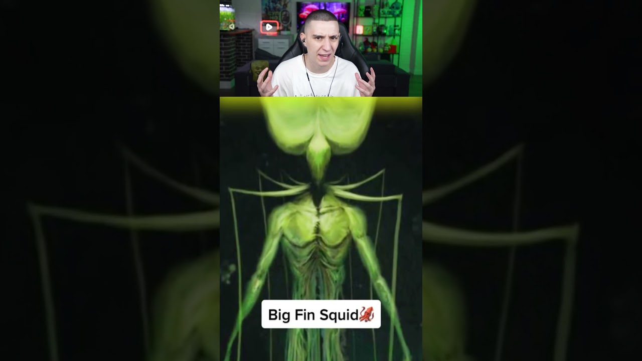 Ужасные находки в океане, которые вас потрясут 🌊