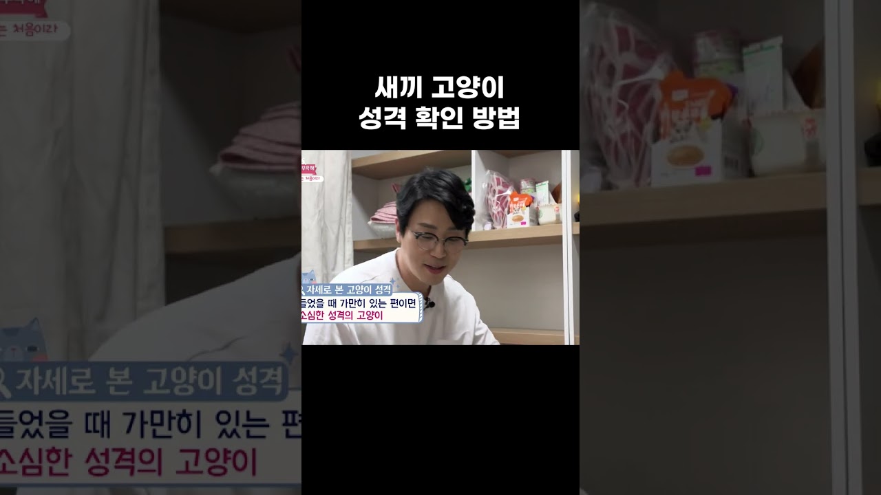 새끼 고양이 성격 파악법 🐱