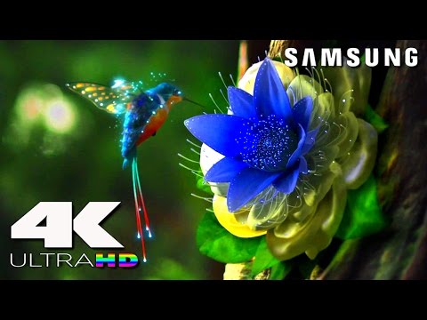 4K ULtra HD | SAMSUNG UHD Demo׃ LED TV