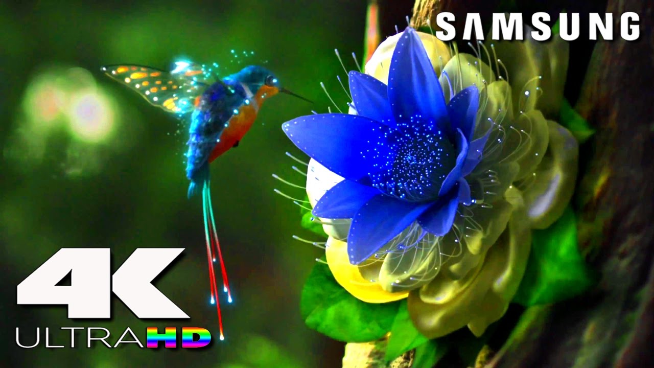 Experience Stunning Clarity with Samsung 4K Ultra HD LED TV Demo 📺