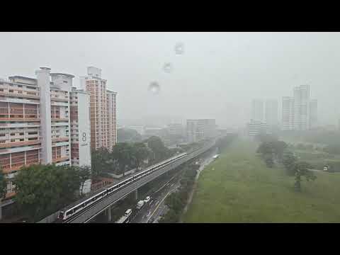Singapore Weather | Same Day #rain #sunny #humid #humidity #hot