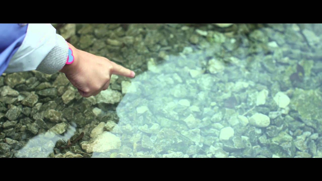 Elisa - A Modo Tuo 🎶