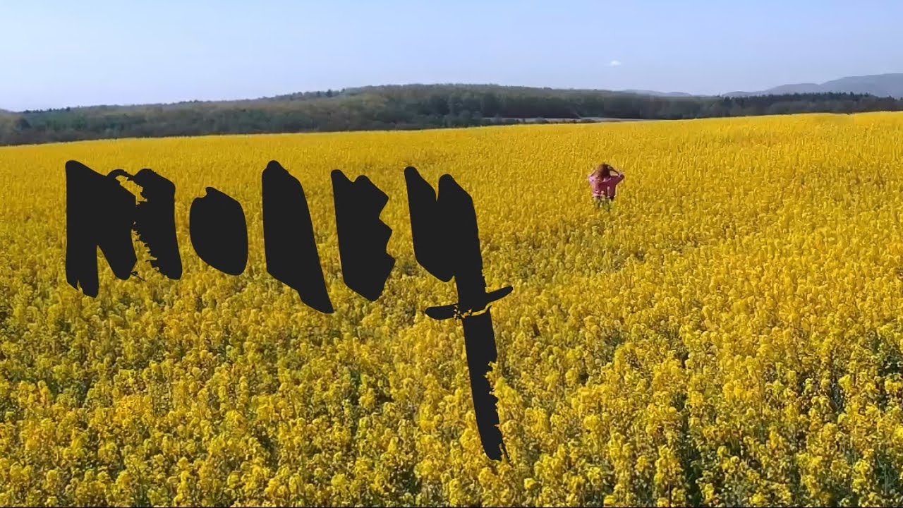 Молец - Мед 🎶 Официално Видео | Емоционално Възраждане и Вкусни Мелодии