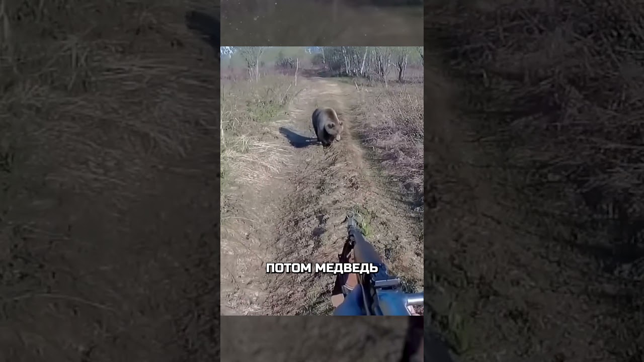 Неожиданная встреча с медведем 🐻