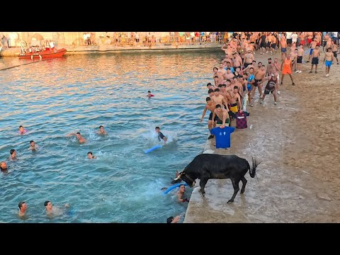Bous a la mar de Denia 2025 - Ganaderia Bonavent - 06.07.2025