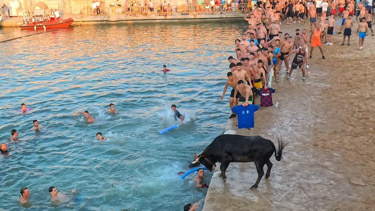 Bous a la Mar de Denia 2025 🐂 - Celebración de la Tradición en Julio