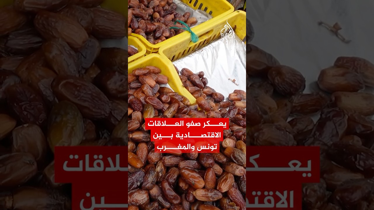 أزمة التمور بين تونس والمغرب: قرار تونس بعدم التصدير يثير جدلاً حول الجودة والمصدر 🍈