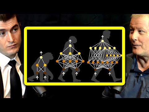 How neuroevolution works | Risto Miikkulainen and Lex Fridman