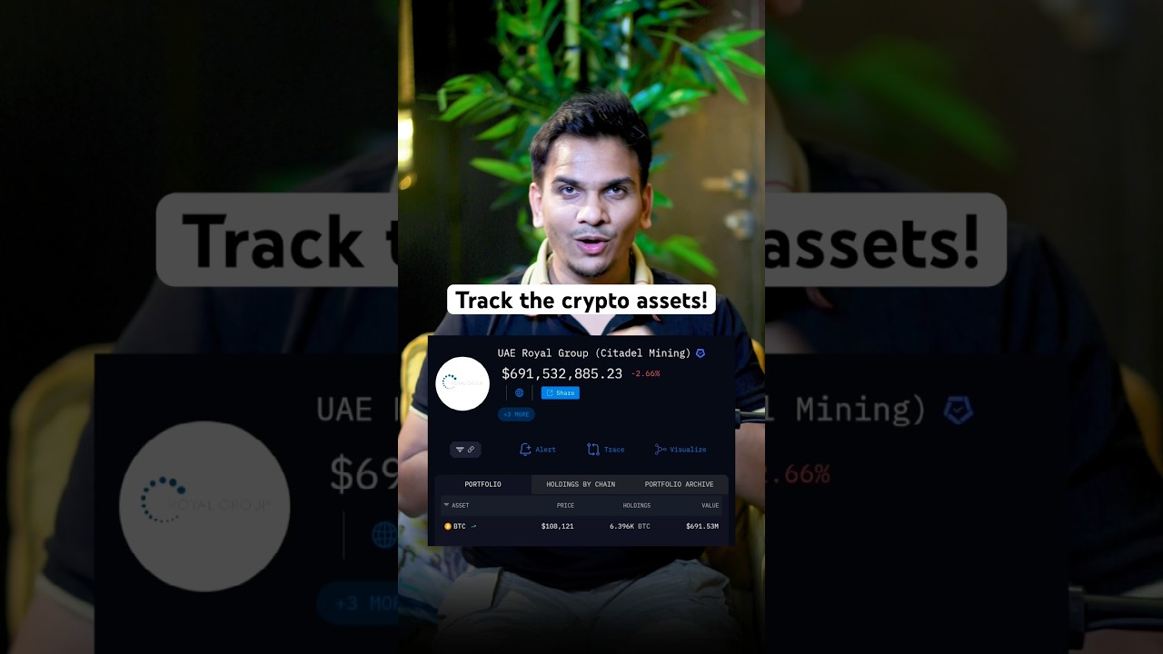 Monitoring Cryptocurrency Holdings of Nations and Corporations