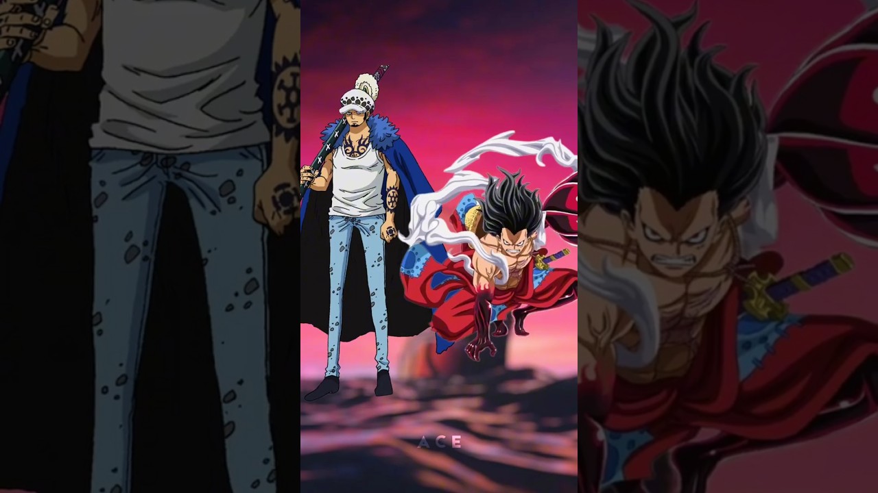 Luffy vs Warlord: Who's the Strongest? 🥊