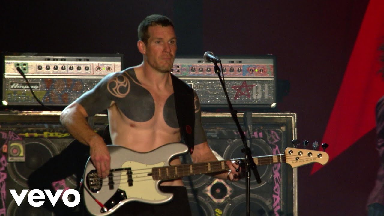 Rage Against The Machine - Killing In The Name Live 2010 🎸