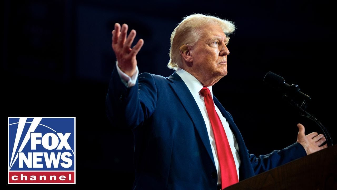 Newt Gingrich: Trump Is a Political ‘Phenomenon’