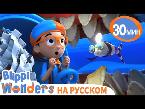 Сколько Зубов у Акулы? | Обучающие мультики для детей | Blippi Russian