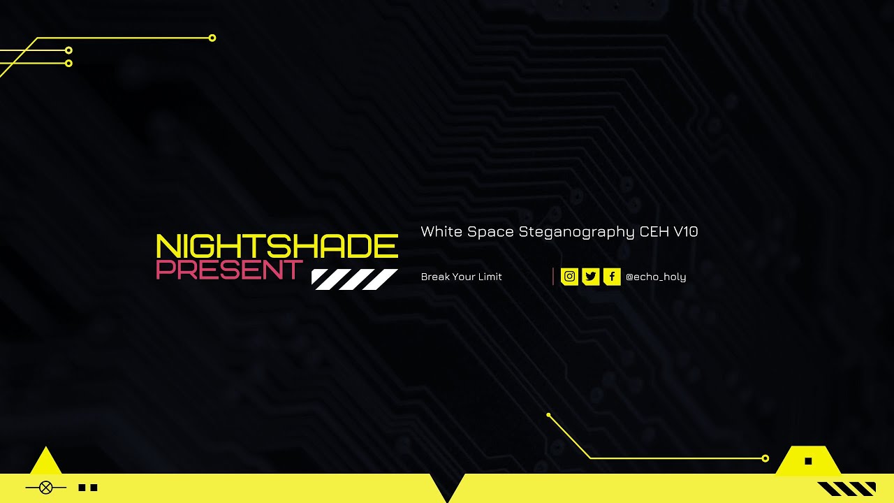 Master White Space Steganography with Turtor Tools CEH V10 ๐ต๏ธโโ๏ธ