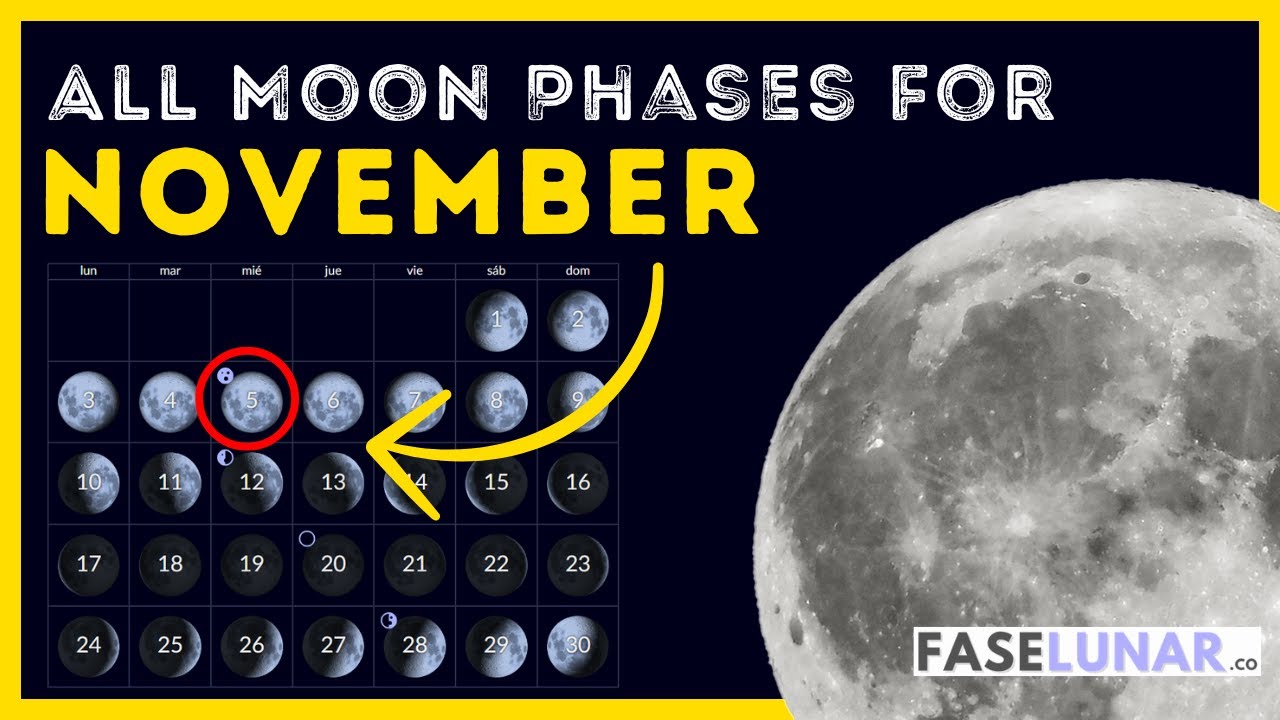 November 2025 Moon Phases 🌕 Daily Lunar Calendar