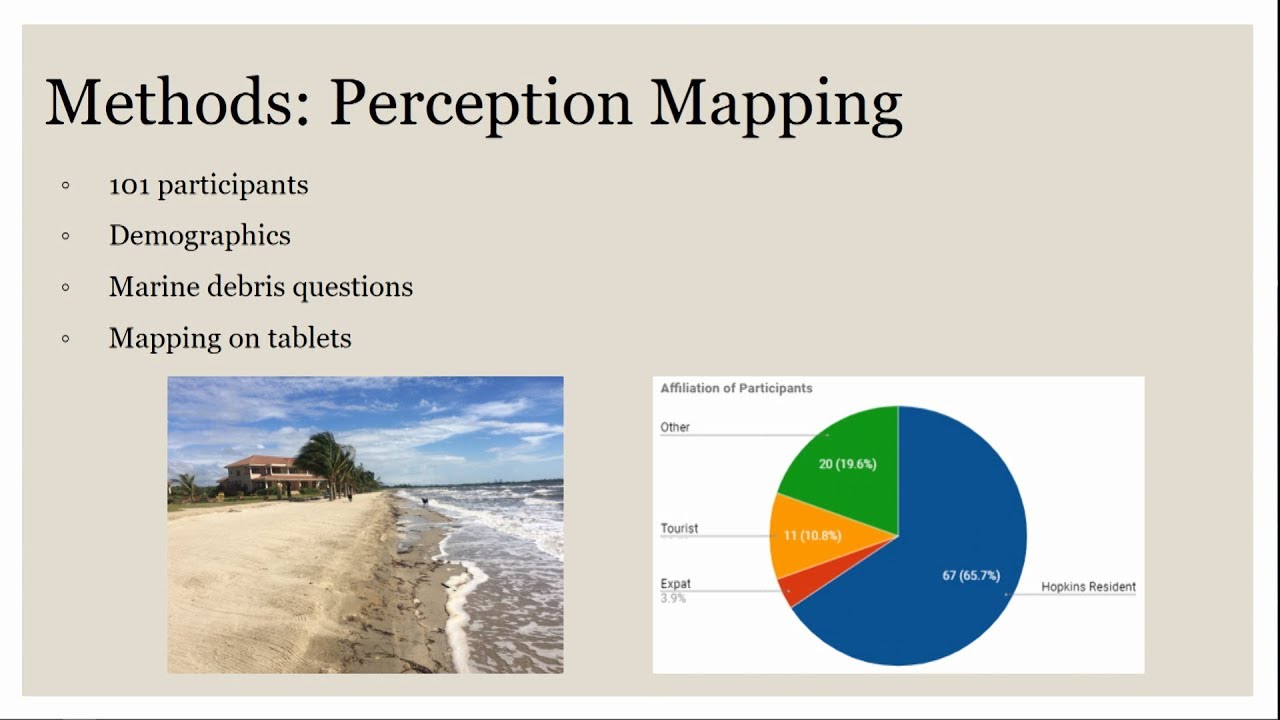 Citizen Science GIS: Tackling Marine Debris in Belize 🌊