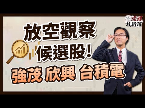 【避險】簡單判別空方特徵？強茂 欣興 台積電 列入放空觀察名單｜運達投顧 吳官隆分析師【鷹眼技術班】20251023