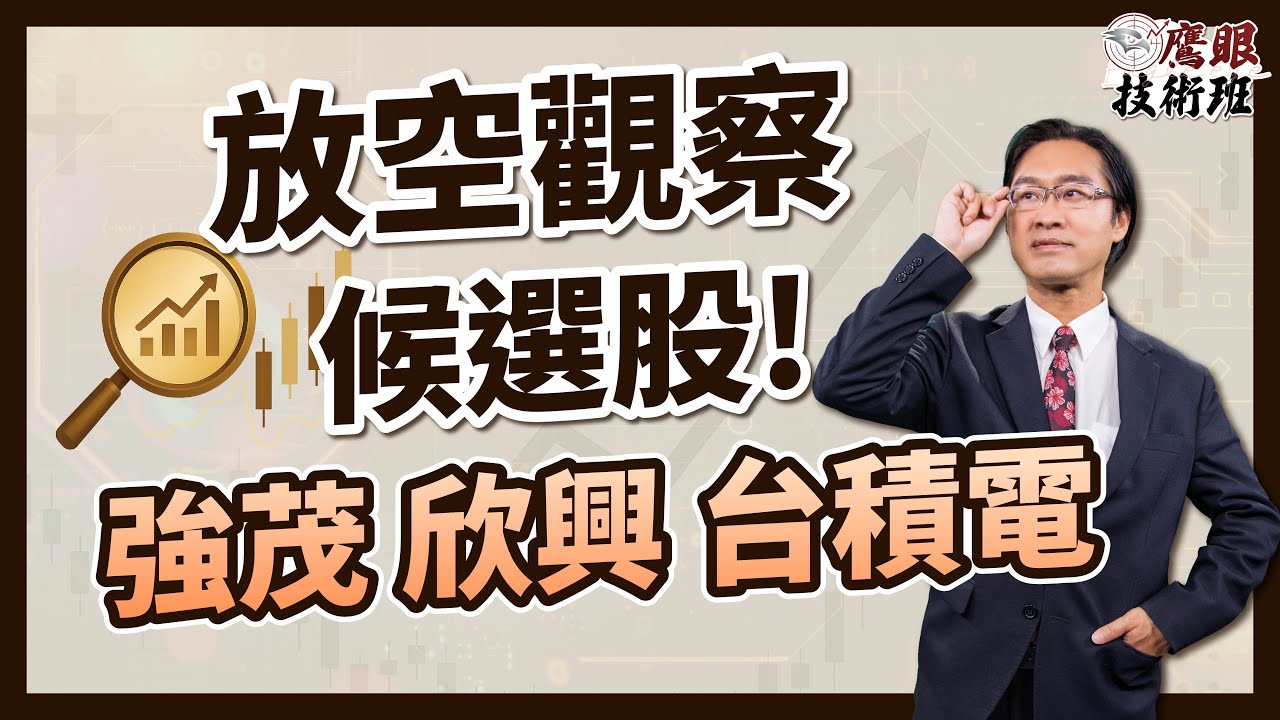 【避險必看】空方特徵判斷指南:強茂、欣興、台積電列入放空觀察名單📉