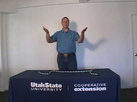 Decision Making Activity: Knot or Not