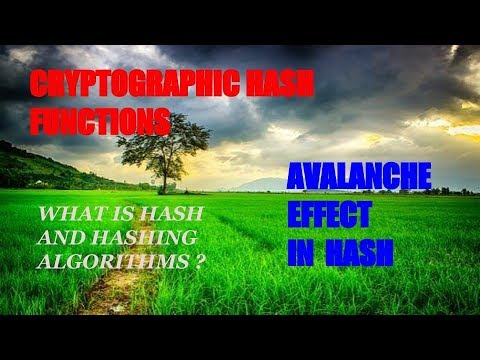 PART - 1 : What is HASH in Cryptography || Hashing Algorithms || Avalanche Effect (Hindi)