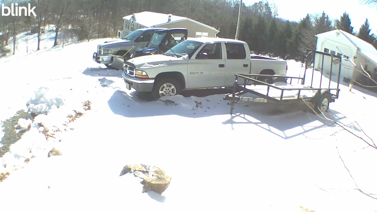 02 Morning Wildlife at P&J's Farm on 02/02/2026 πΎ