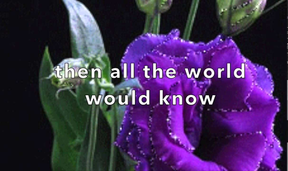 Star on a TV Show 🎬 (Lyrics) - No Copyright