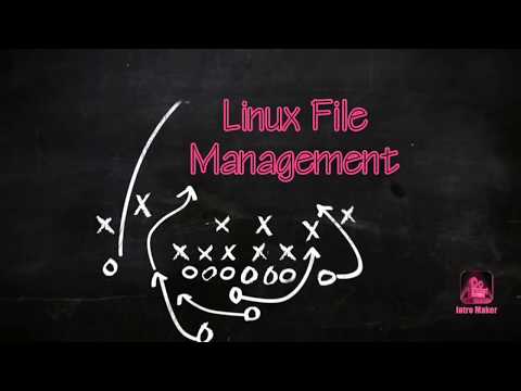 #2 Linux File Management--------------BASICS OF ETHICAL HACKING