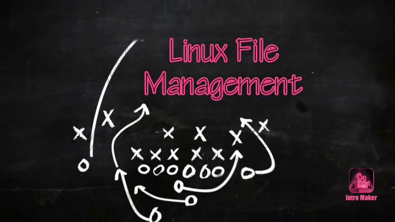 Master Linux File Management & Ethical Hacking Basics with Kali Linux π₯οΈ