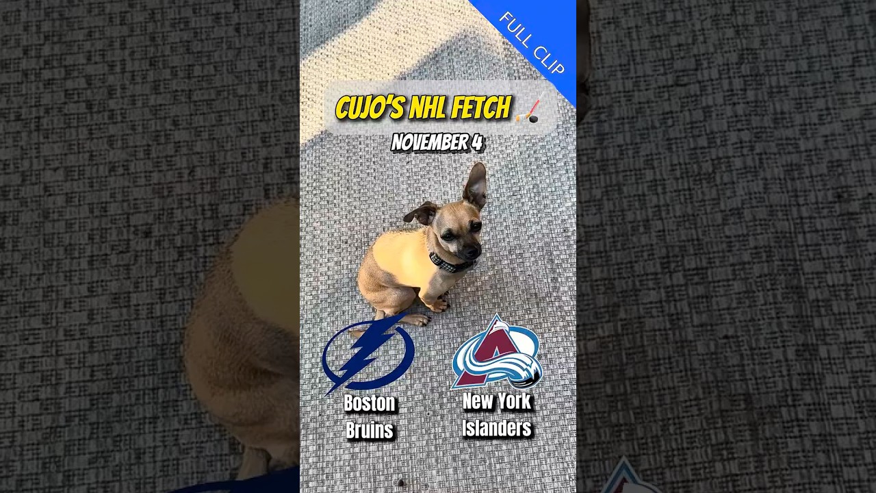 Cujo’s NHL Fetch: Lightning vs Avalanche 🏒
