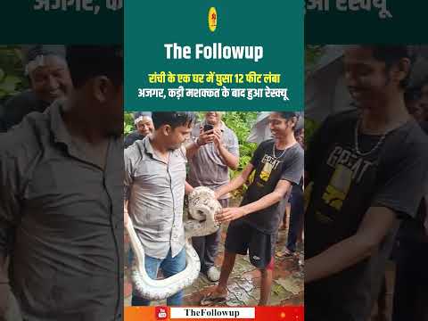 रांची के एक घर में घुसा 12 फीट लंबा अजगर, कड़ी मशक्कत के बाद हुआ रेस्क्यू