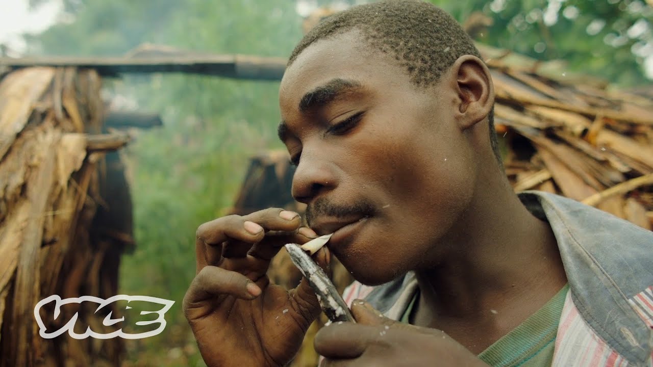 Congo's Tribes Turning to Cannabis for Survival ๐ฟ