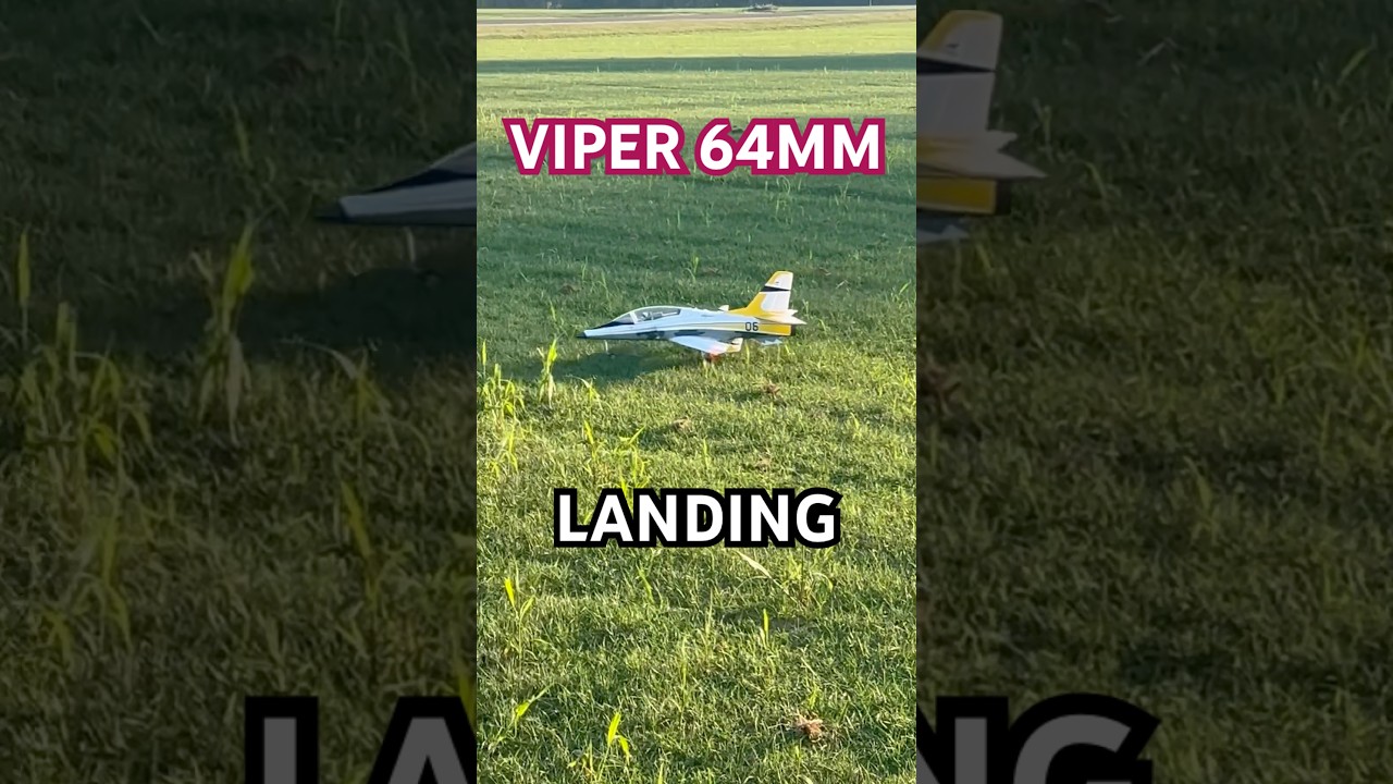Epic Landing with the E-flite Viper EDF Jet ✈️ | RC Plane Action