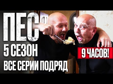 🎬 Сериал ПЕС 5 сезон – Полный 5 СЕЗОН – ВСЕ СЕРИИ ПОДРЯД (11 – 20) | ПЕС 2023 – ЧАСТЬ 2
