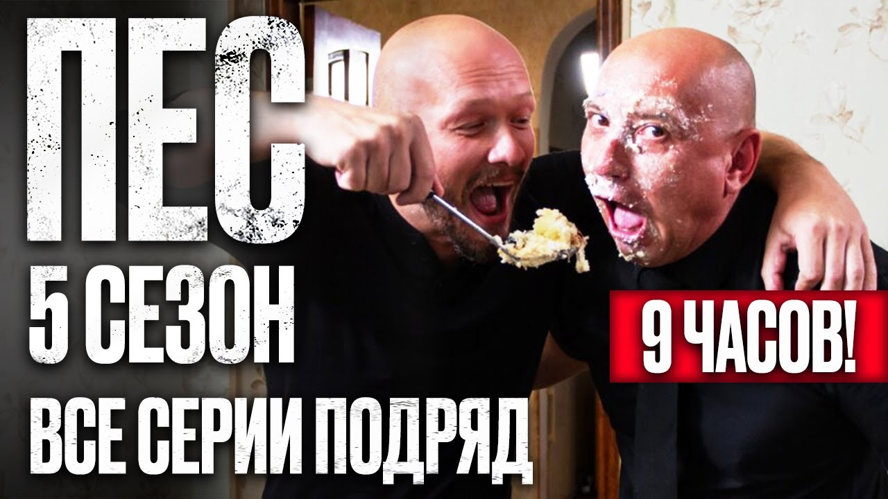 ПЕС 5 сезон — Полный сериал с 11 по 20 серию | Смотреть онлайн на ICTV