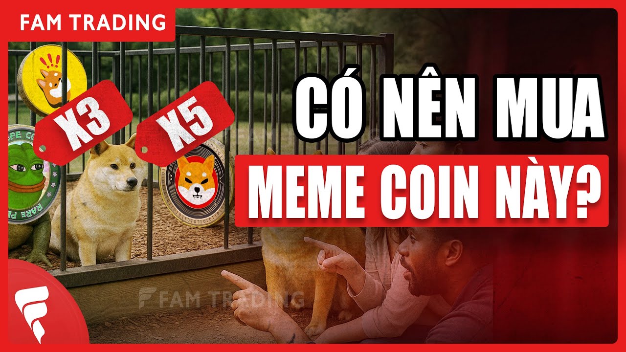 Có Nên Mua Meme Coin: Dogecoin, Pepe, Shiba, Bonk? 🚀