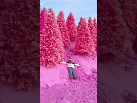 Most Beautiful Places In South Korea ๐ฐ๐ท #nature #travel #southkorea