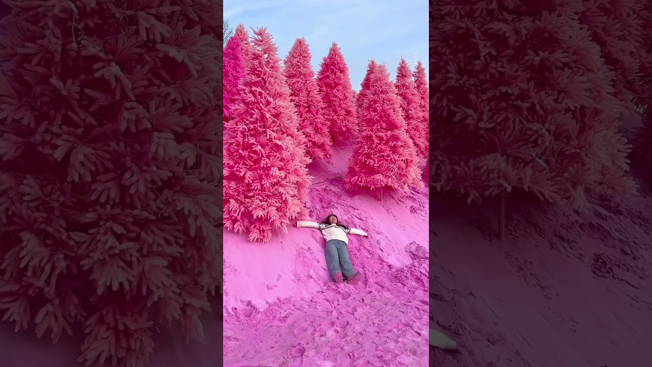 Discover the Most Stunning Natural Wonders of South Korea 🇰🇷