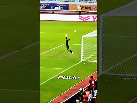 SAVE TERBAIK BIKIN 1 INDONESIA PANIK !!! #football #dubbing #timnasindonesia