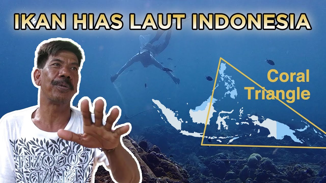 Cara Mendapatkan Ikan Hias Laut di Indonesia 🌊