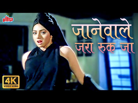 Sridevi Hot Song Janewale Zara Ruk Ja | Roop Ki Rani Choron Ka Raja | Kavita K, Vinod Rathod