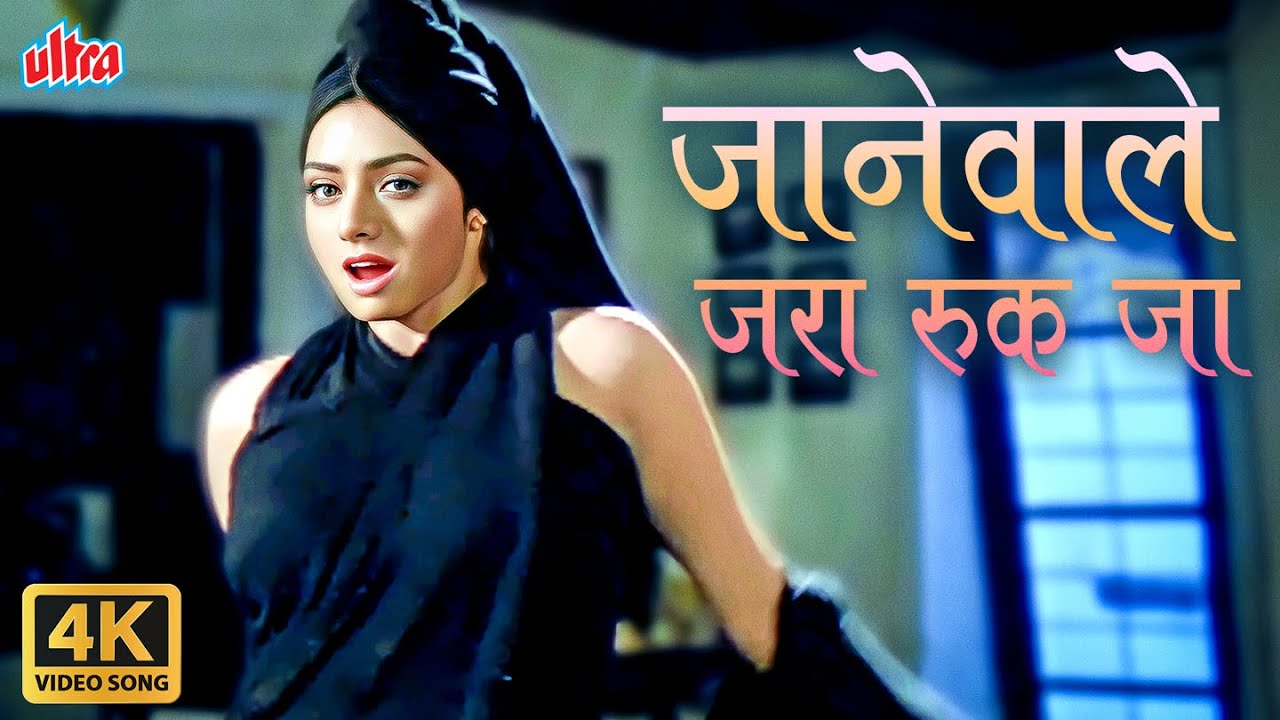 Sridevi’s Iconic Hot Song 'Janewale Zara Ruk Ja' from Roop Ki Rani Choron Ka Raja 🎶