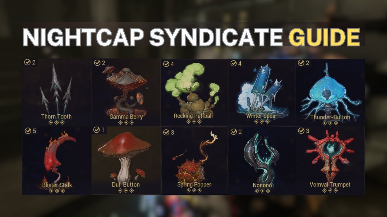 Warframe: Level Up Nightcap & Vallis Guide 🌌