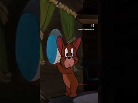 Wallace getting skittled by an absolute screamer #cricket #fulltrack #clubcricket #nets #cricketnet