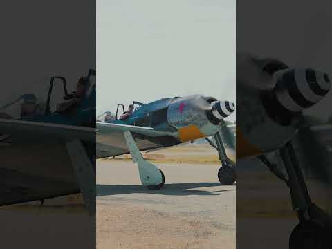 Sound on! FW-190 Focke Wulf start! #short #warbird #fighterpilot #pilot #flying