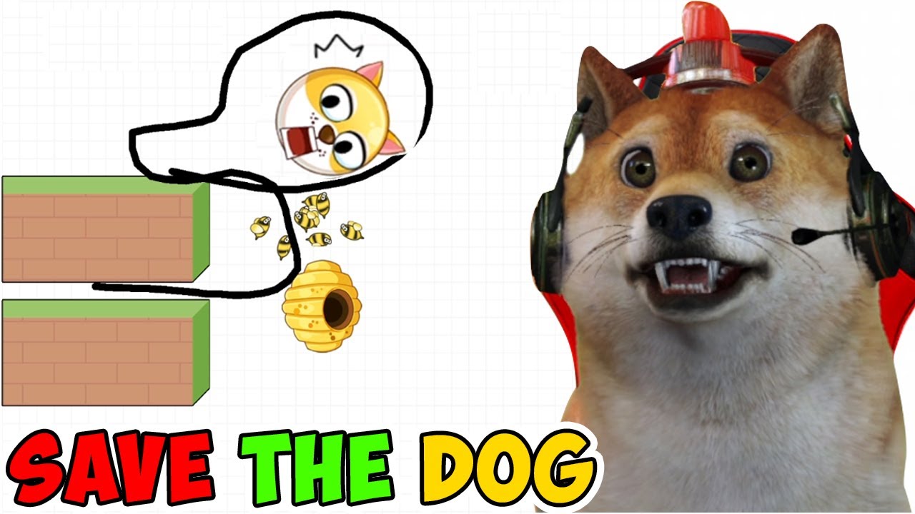 Gambar Perlindungan untuk Kepala Anjing Lucu 🐶